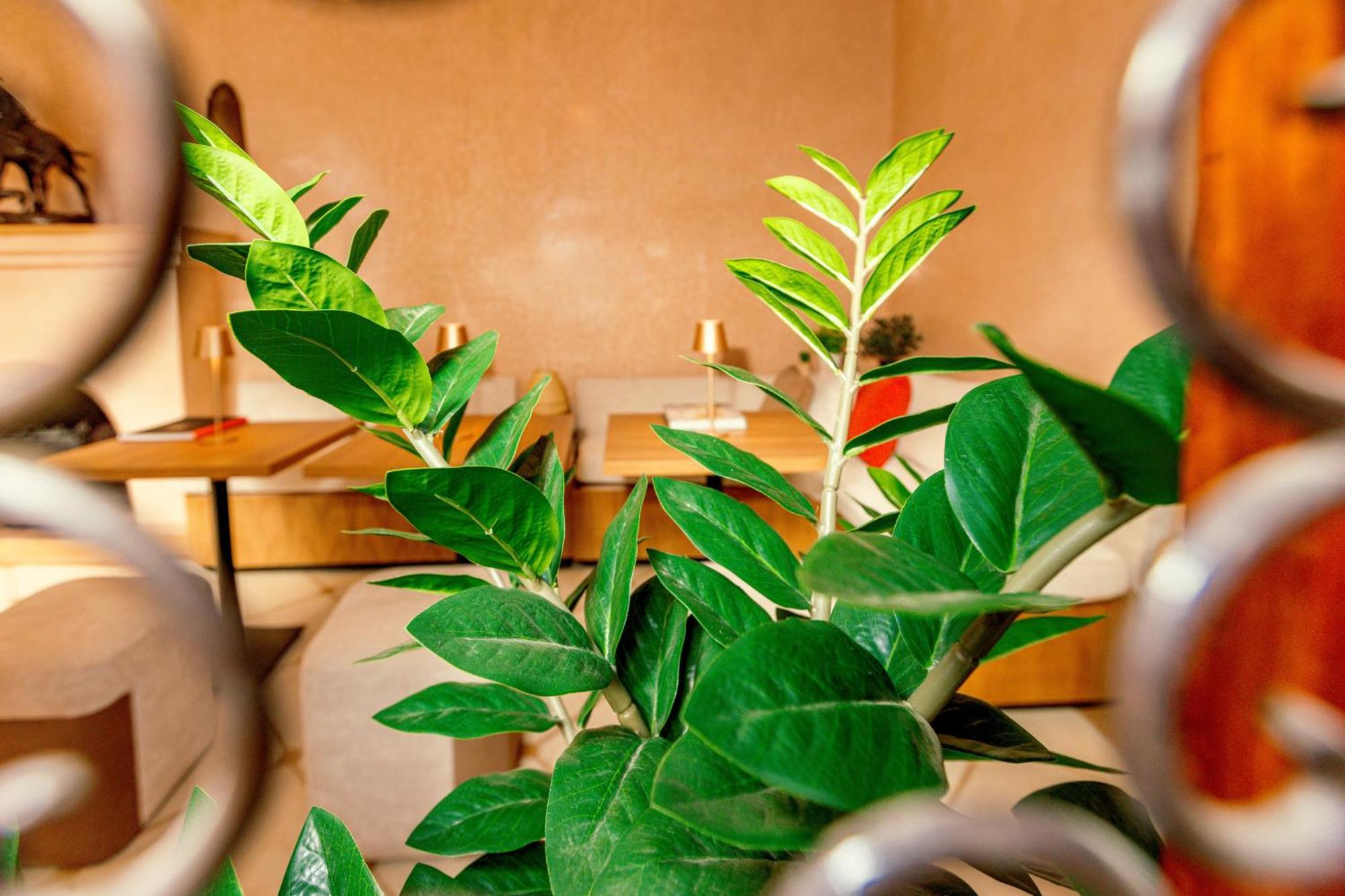 Riad Luciano Hotel And Spa Маракеш Екстериор снимка